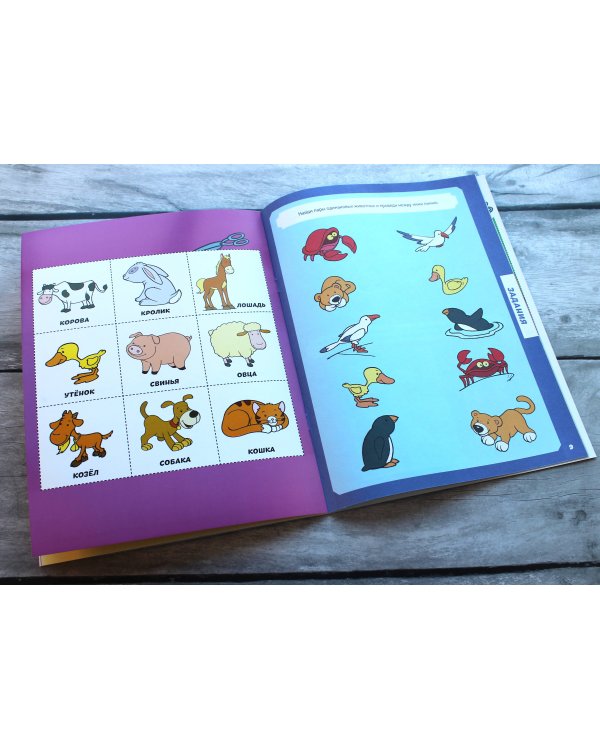 Животные (с наклейками и разрезными карточками)