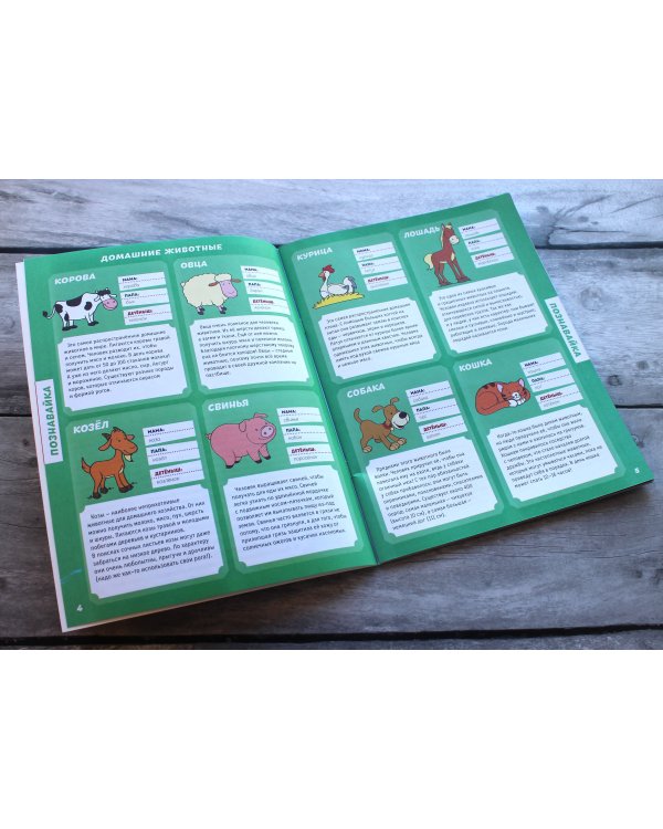 Животные (с наклейками и разрезными карточками)