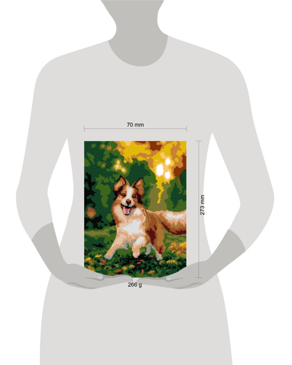 Ам-067 Алмазная мозаика 30*40 см (частичное заполнение) "Весёлый бордер-колли"