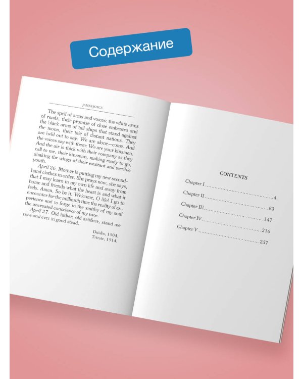 A Portrait of the Artist as a Young Man