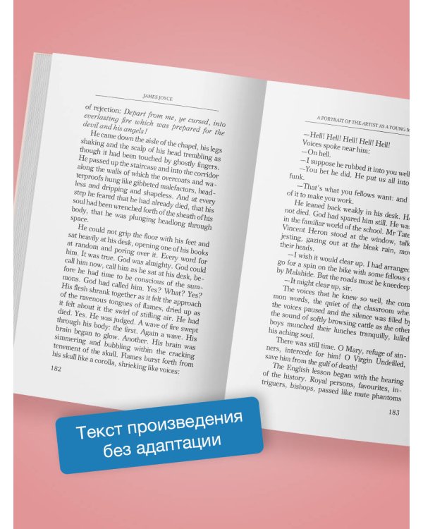 A Portrait of the Artist as a Young Man