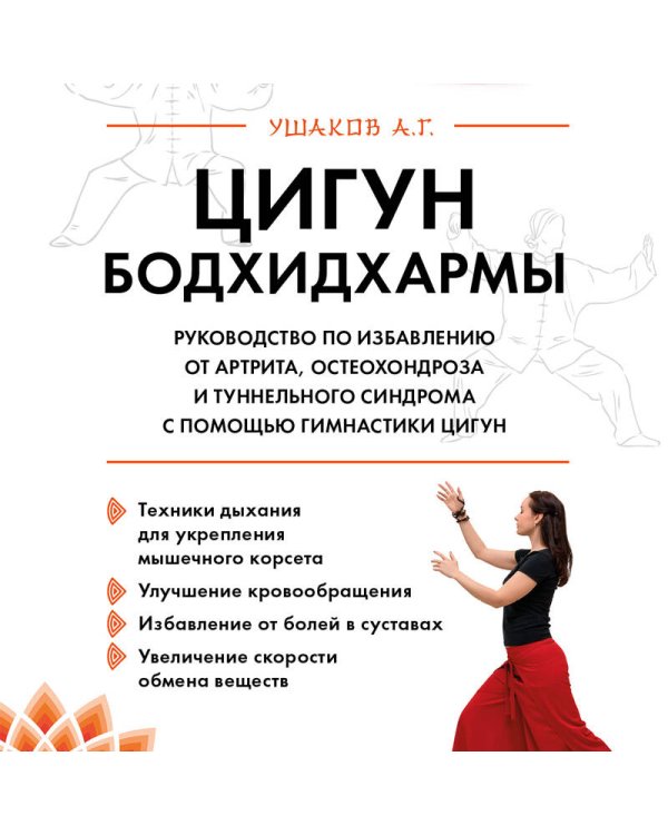 Цигун бодхидхармы. Руководство по избавлению от артрита, остеохондроза и туннельного синдрома с помощью гимнастики цигун
