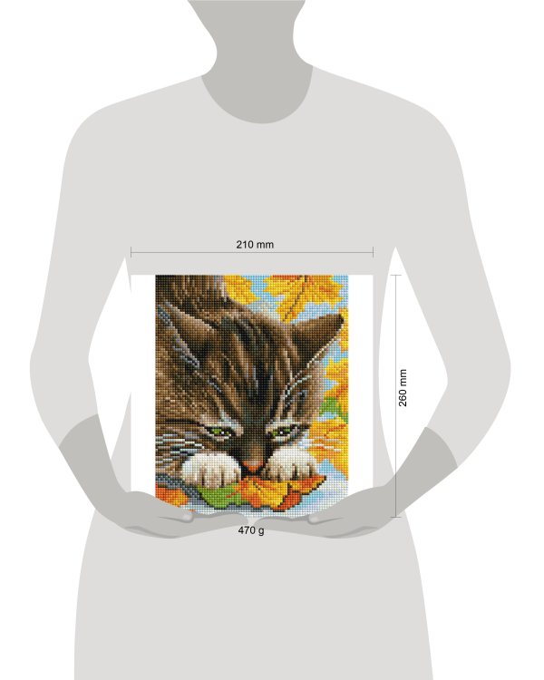 2500-ST-S Осенние игры