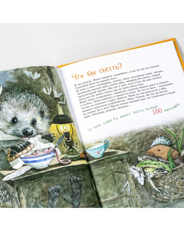 Я Ёж (в илл.Пипченко Л.)(раскраска внутри)