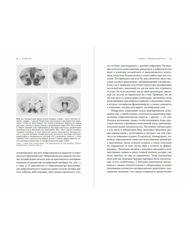 Совесть. Происхождение нравственной интуиции