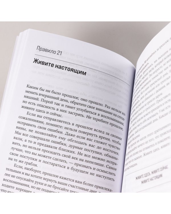 Правила жизни. Как добиться успеха в жизни и стать счастливым