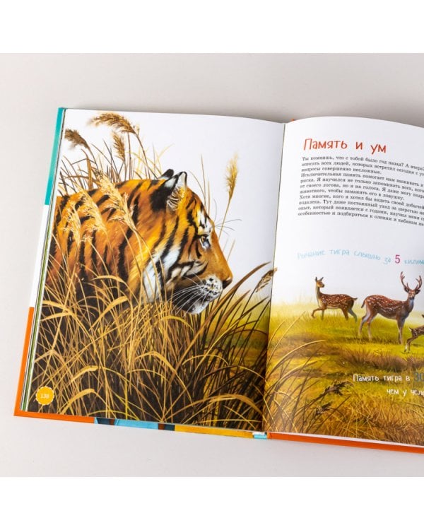 Самые смелые животные. Энциклопедия