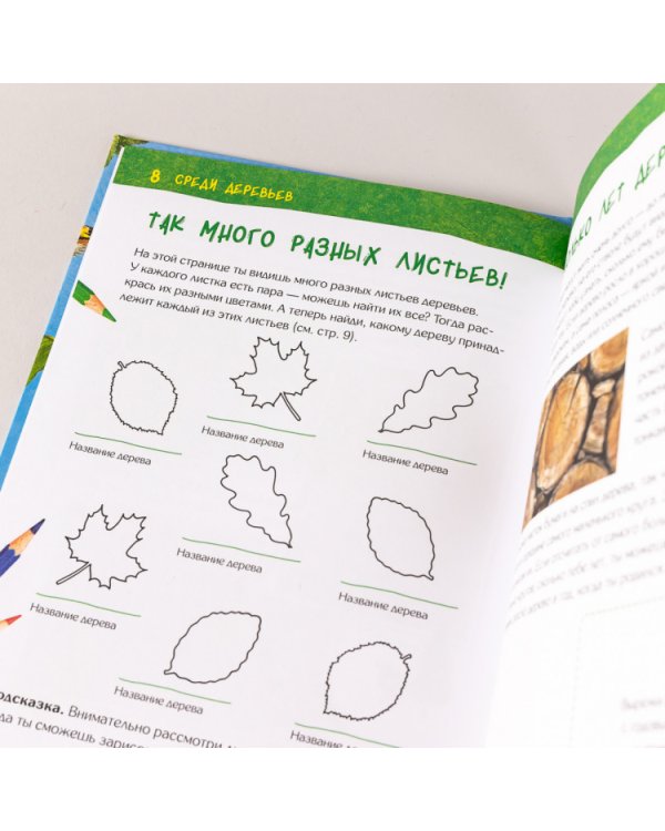 Энциклопедия для детского сада. Животные, птицы, растения