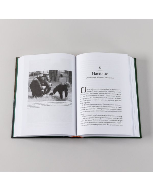 Разные. Мужское и женское глазами приматолога