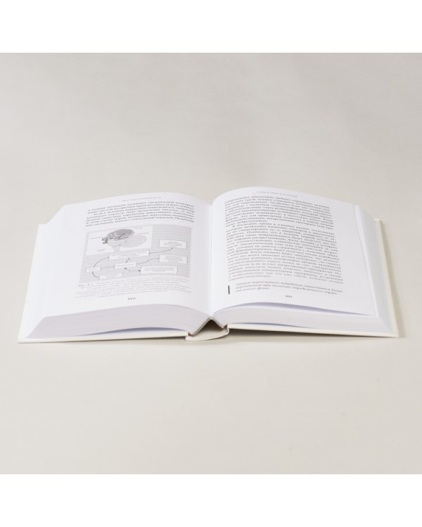 Мозг и его потребности от питания до признания