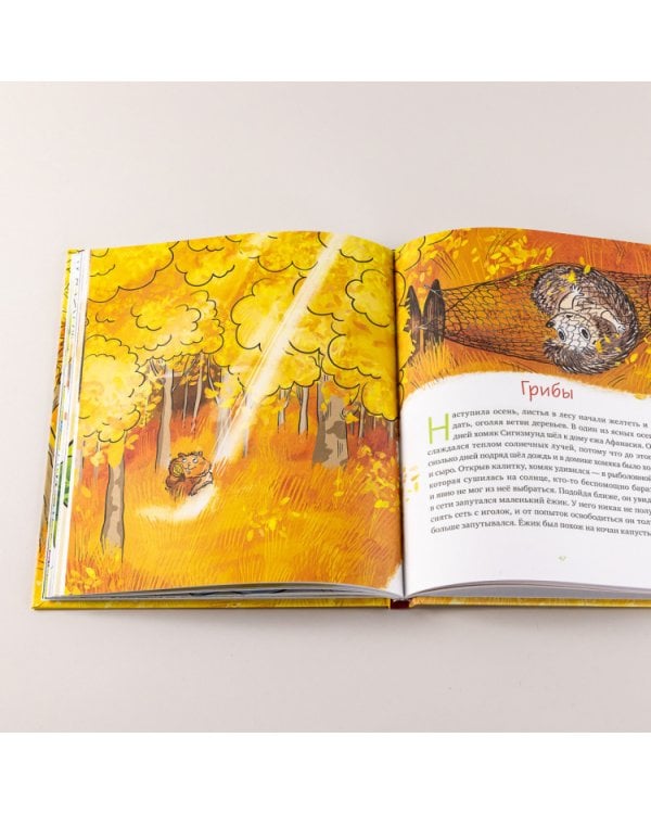 Приключения хомяка Сигизмунда