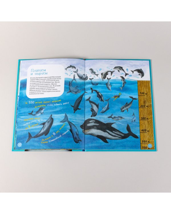 Я дельфин. (книга с раскрасками)