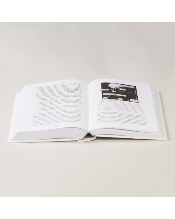 Мозг и его потребности от питания до признания