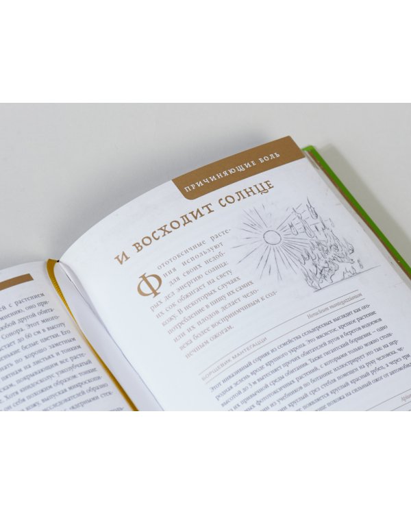 Коварные растения.Белена,дурман,аконит,мандрагора и другие преступники мира флоры