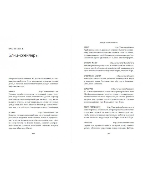Блиц-масштабирование.Как создать крупный бизнес со скоротью света