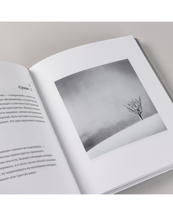 Японское искусство гармоничной жизни