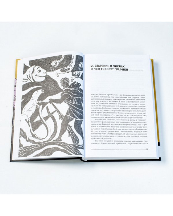 Против часовой стрелки. Что такое старение и как с ним бороться