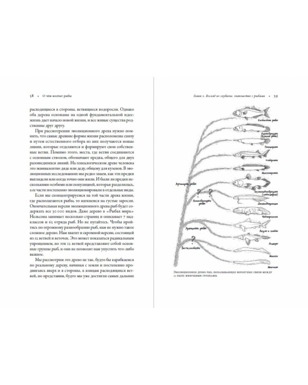 О чем молчат рыбы. Путеводитель по жизни морских обитателей