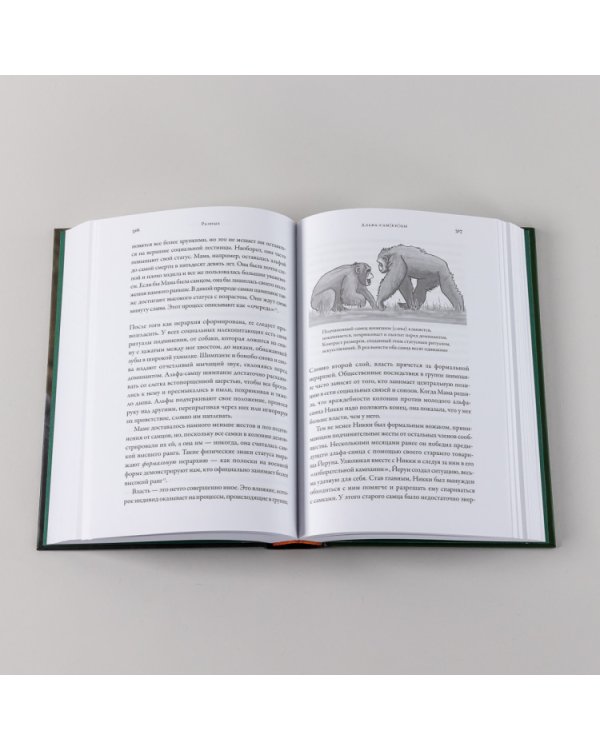 Разные. Мужское и женское глазами приматолога