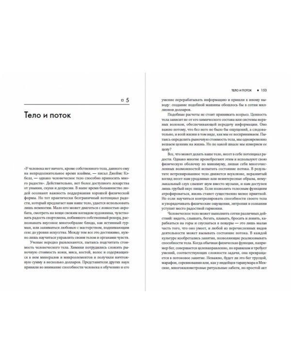 Поток. Психология оптимального переживания