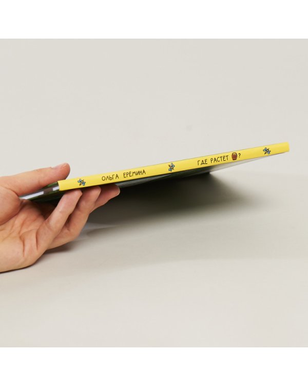 Где растёт бочонок мёда