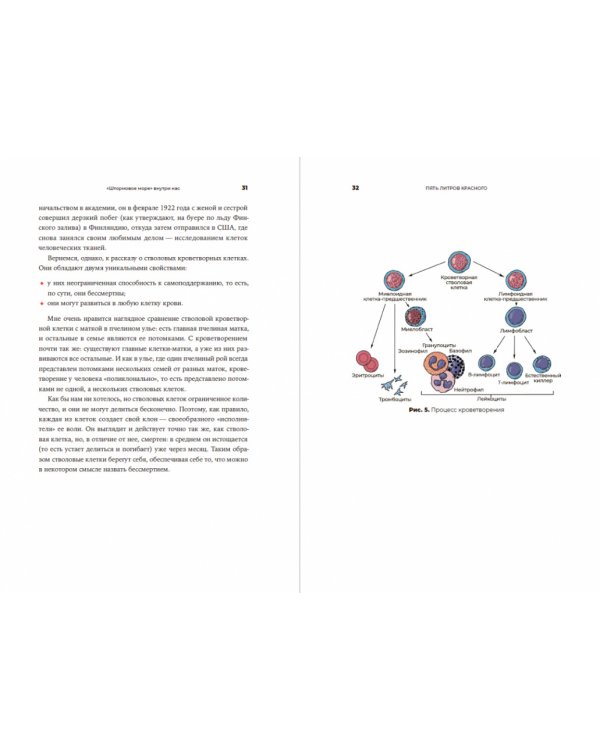 Пять литров красного. Что необходимо знать о крови, ее болезнях и лечении