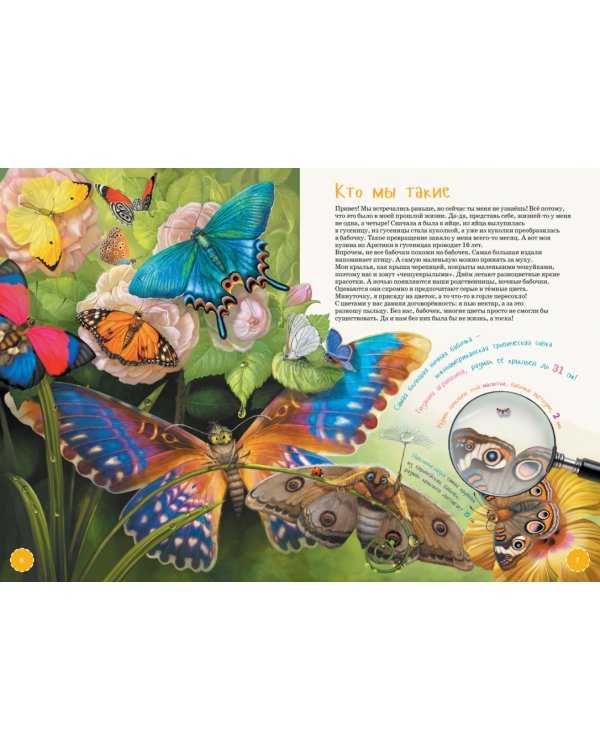 Самые необычные и редкие животные. Энциклопедия