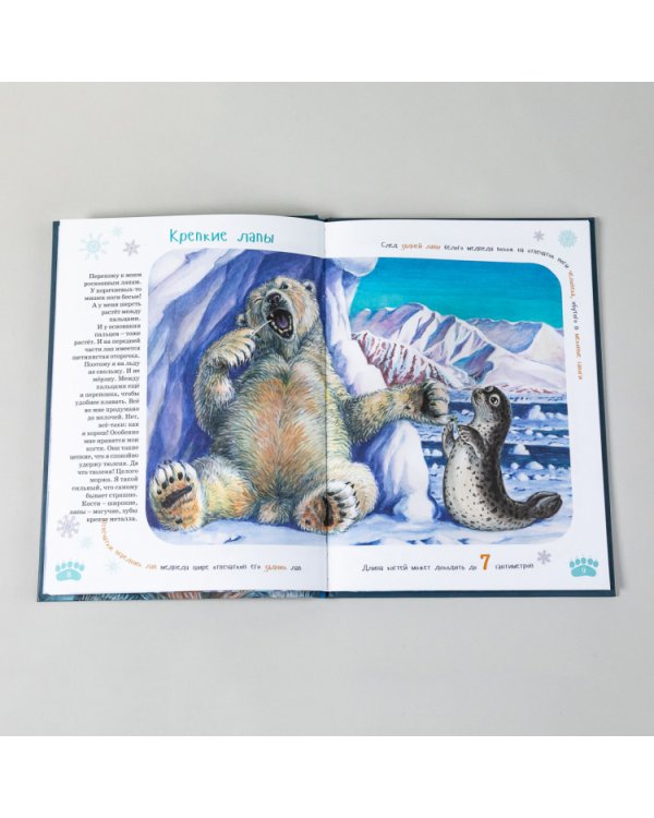 Я белый медведь. (книга с раскрасками)