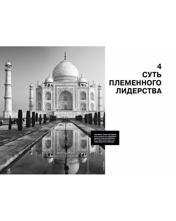 Как управлять корпоративным племенем.Прикладная антропология для топ-менеджера