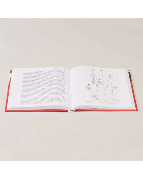 Бюрократия без боли. Новые практики госуправления