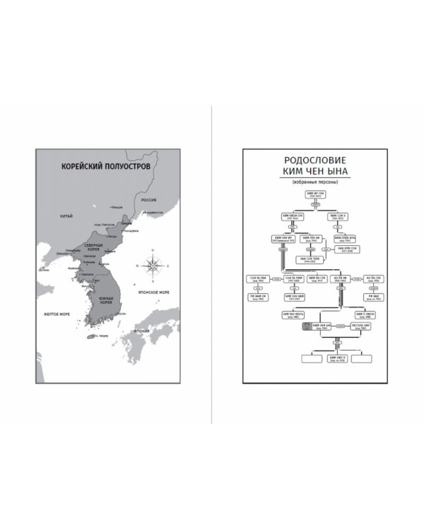 Великий Преемник:Божественно совершенная судьба выдающегося товарища Ким Чен Ына