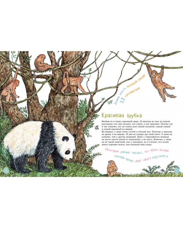 Я большая панда. (книга с раскрасками)