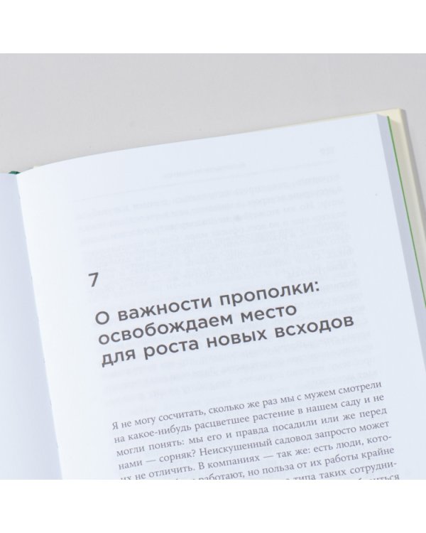 Управление талантами. Руководство по выращиванию сильной команды