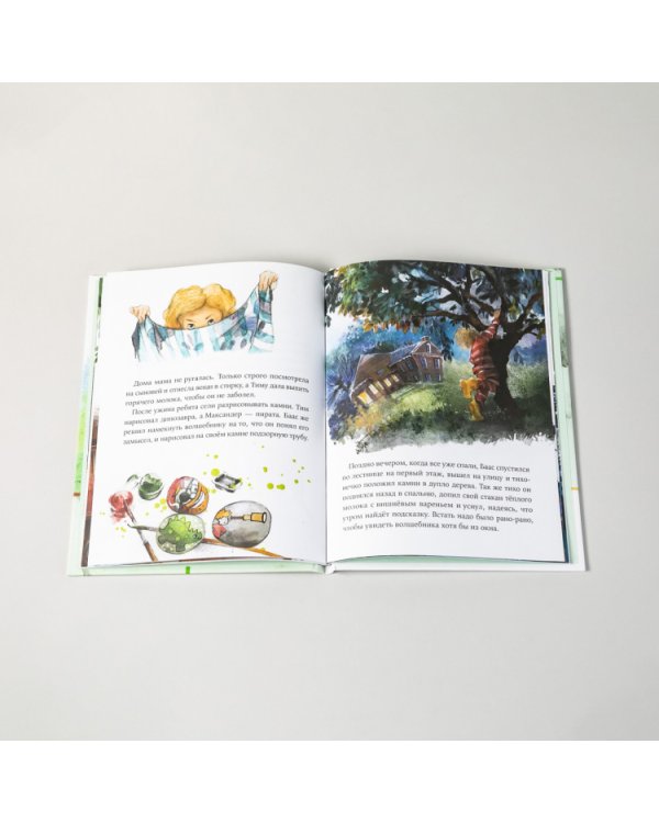 Волшебные камни Бааса