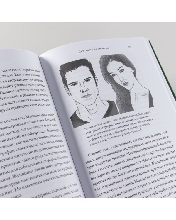 Разные. Мужское и женское глазами приматолога