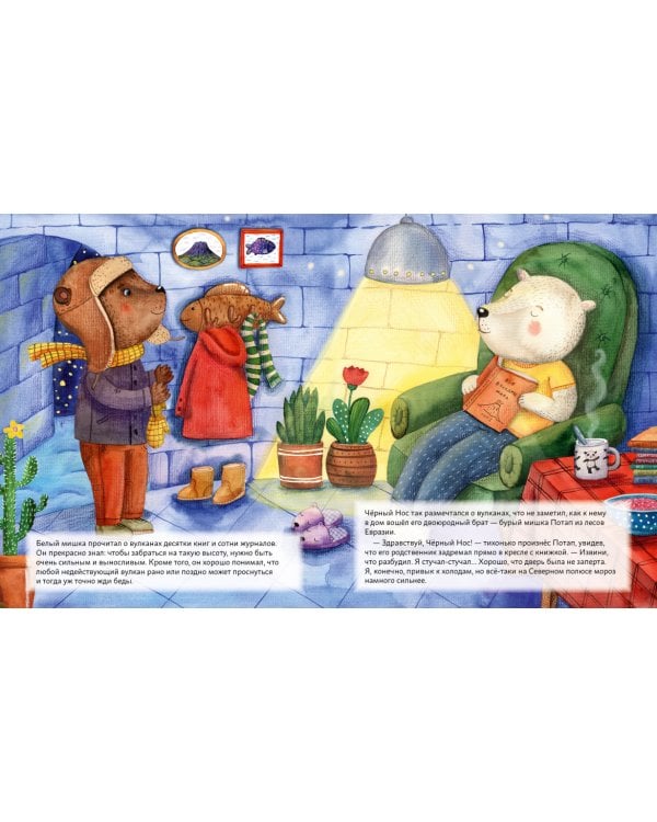 Мишки путешествуют на вулкан.Чёрный Нос и дальний поход