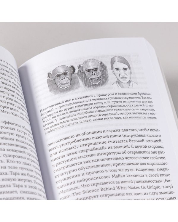 Последнее объятие Мамы. Чему нас учат эмоции животных