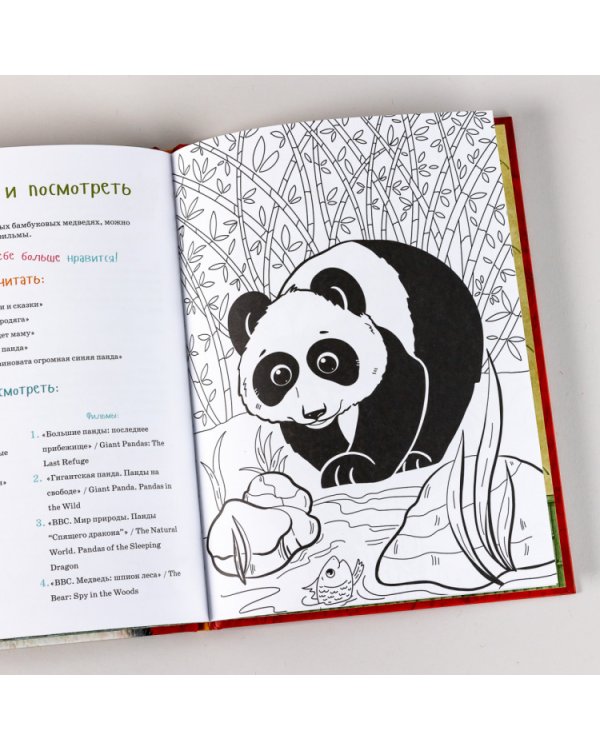 Я большая панда. (книга с раскрасками)