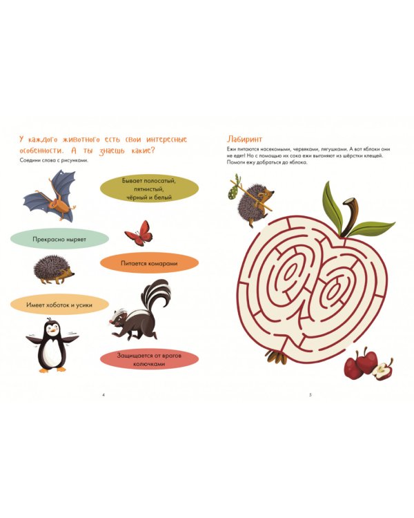 Занимательная зоология. Большая книга раскрасок, лабиринтов и головоломок