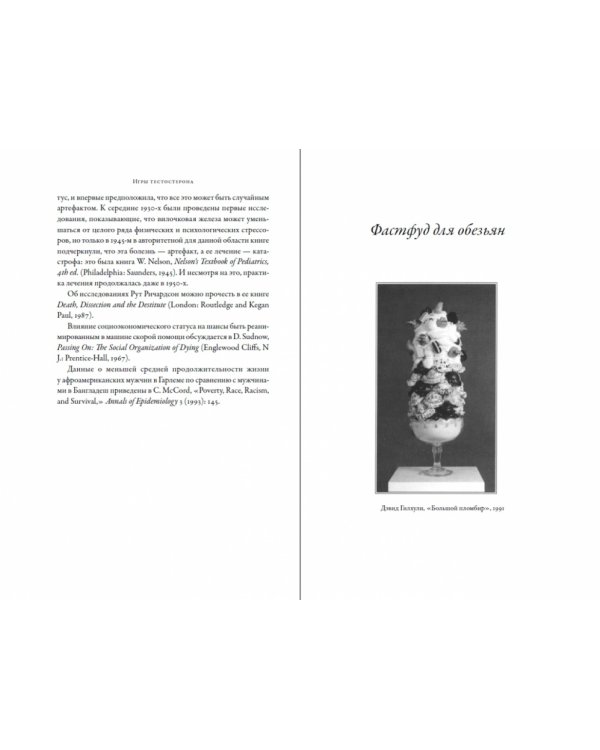 Игры тестостерона. и другие вопросы биологии поведения