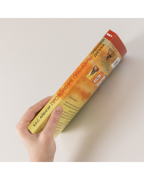 Прояснение Пранаямы. Пранаяма Дипика