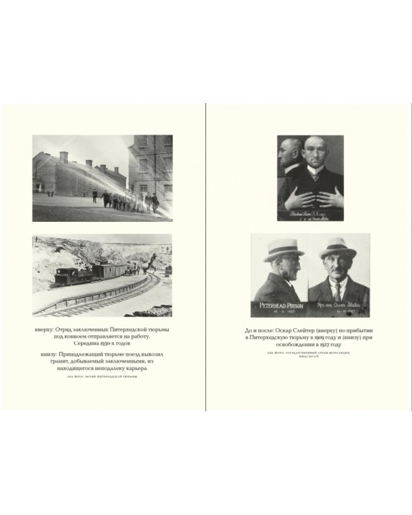 Конан Дойль на стороне защиты. Подлинная история, повествующая о сенсационном британском убийстве, ошибках правосудия и прославленном авторе детективов