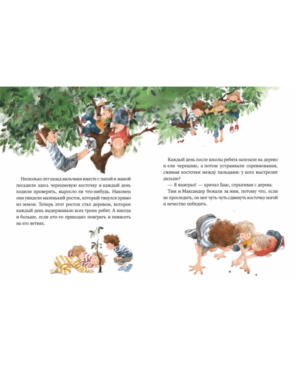 Волшебные камни Бааса