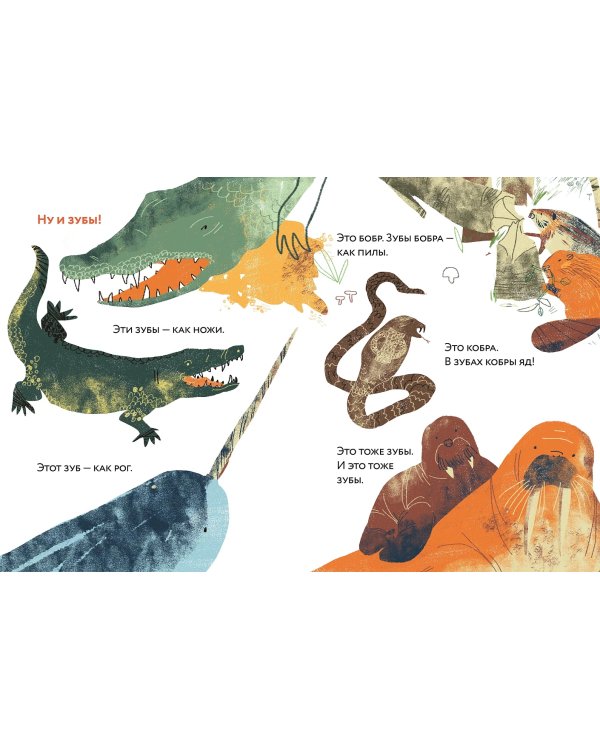 Зубы? Зубы... Зубы!