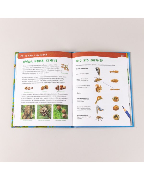 Энциклопедия для детского сада. Животные, птицы, растения