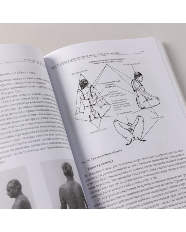 Прояснение Пранаямы. Пранаяма Дипика