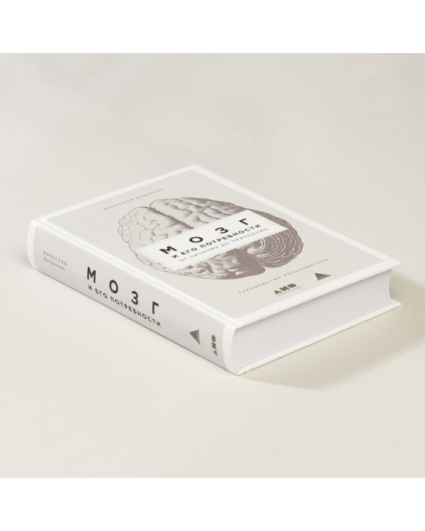 Мозг и его потребности от питания до признания