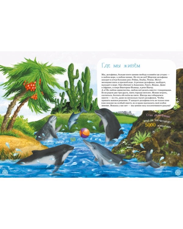 Я дельфин. (книга с раскрасками)