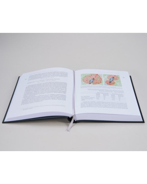 Введение в искусственный интеллект. (Библиотека Сбера: Искусственный интеллект)