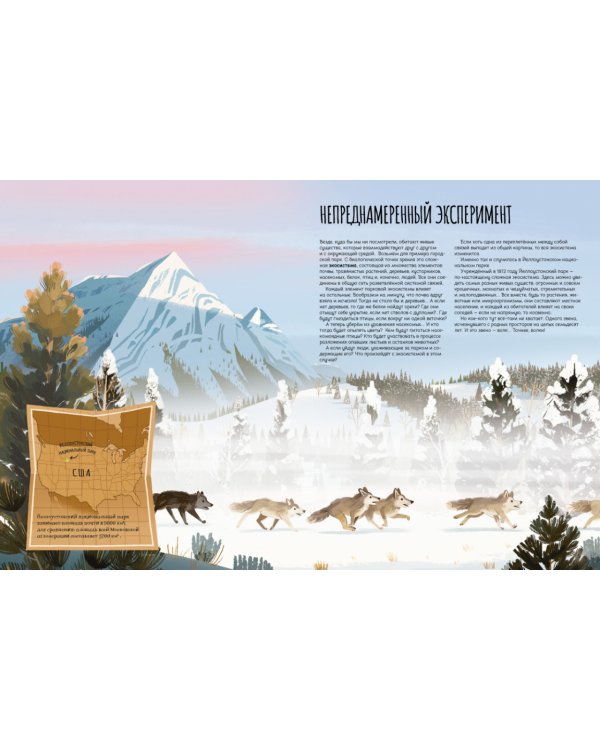 Вернуть Волков. Как хищники восстановили баланс экосистемы